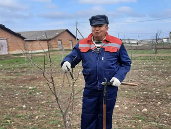 Юшин Анатолий Федорович провел обрезку деревьев в Саду Памяти
